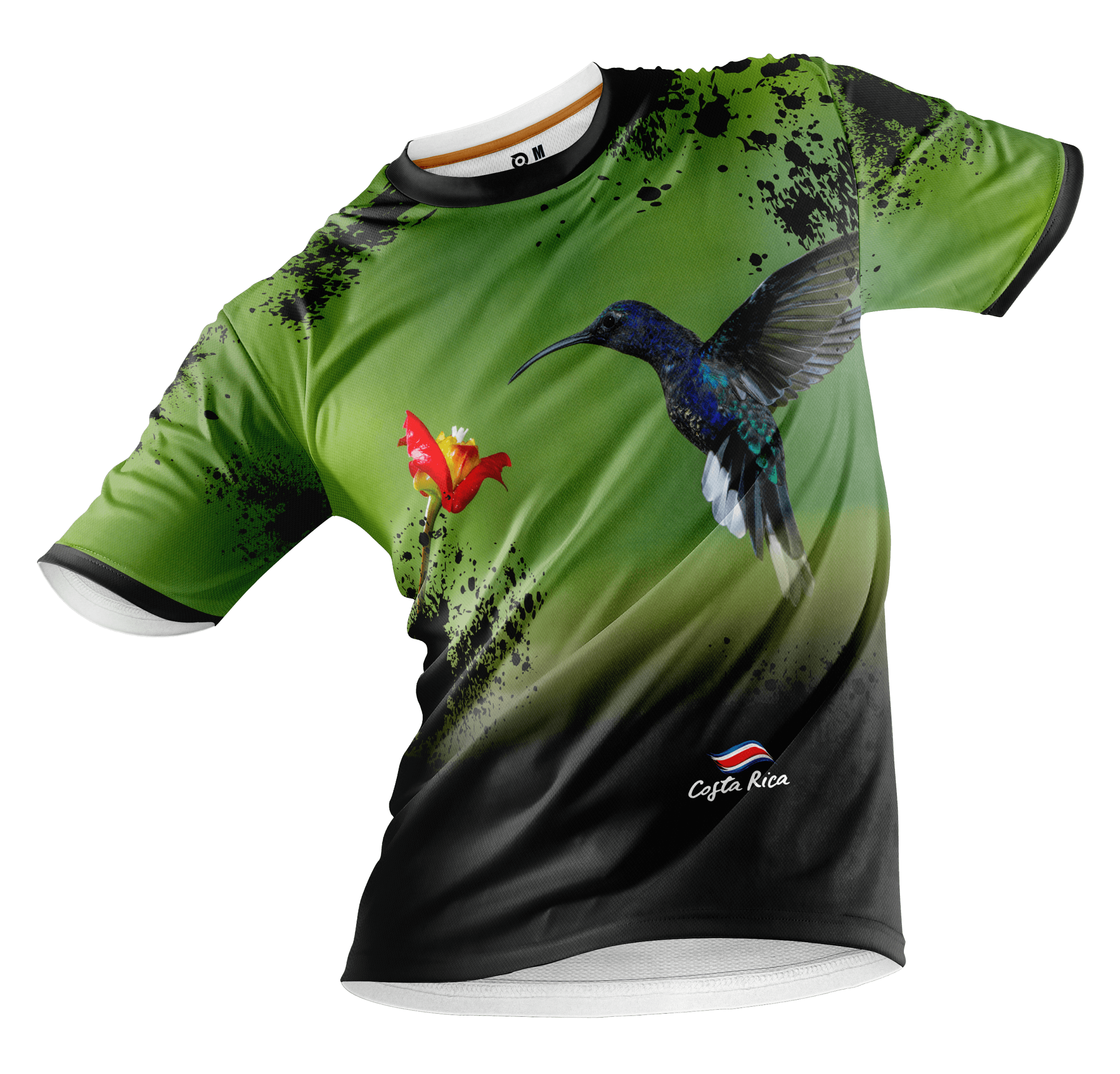COLIBRI – ICONIQ